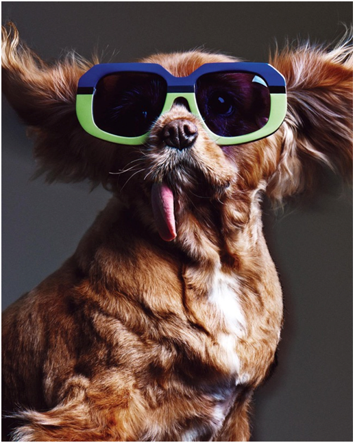 Pour présenter sa collection 2015 de lunettes de soleil, Karen Walker a décidé de…